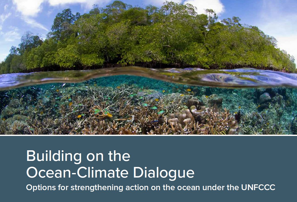 Preparing for the ocean-climate focus at #COP26, partners have prepared an overview of #bluecarbon ecosystems and how they help fight #climatechange, in addition to options for strengthening action on the ocean under the UNFCCC: bit.ly/3v5GN44
bit.ly/3ax79Tm