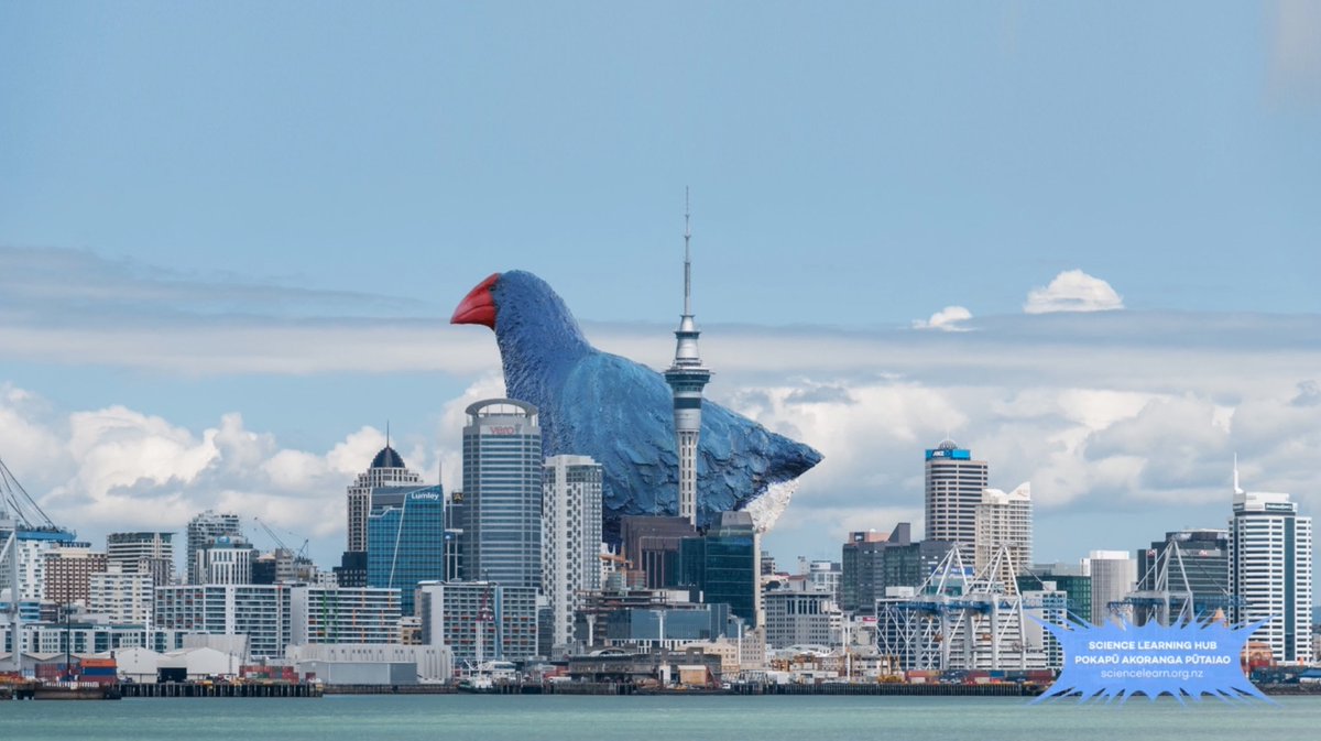 NZScienceLearn's tweet photo. It's time to crown the Takahē BIRD OF THE YEAR.
It's a small travesty that this remarkable chonker has yet to wear the crown, never was a bird so worthy!
https://t.co/HLZdGEboo3
#BOTY21 @VoteTakahe @Forest_and_Bird @NZEcosanctuary @OSNZBirdsNZ https://t.co/unl1h57cRb