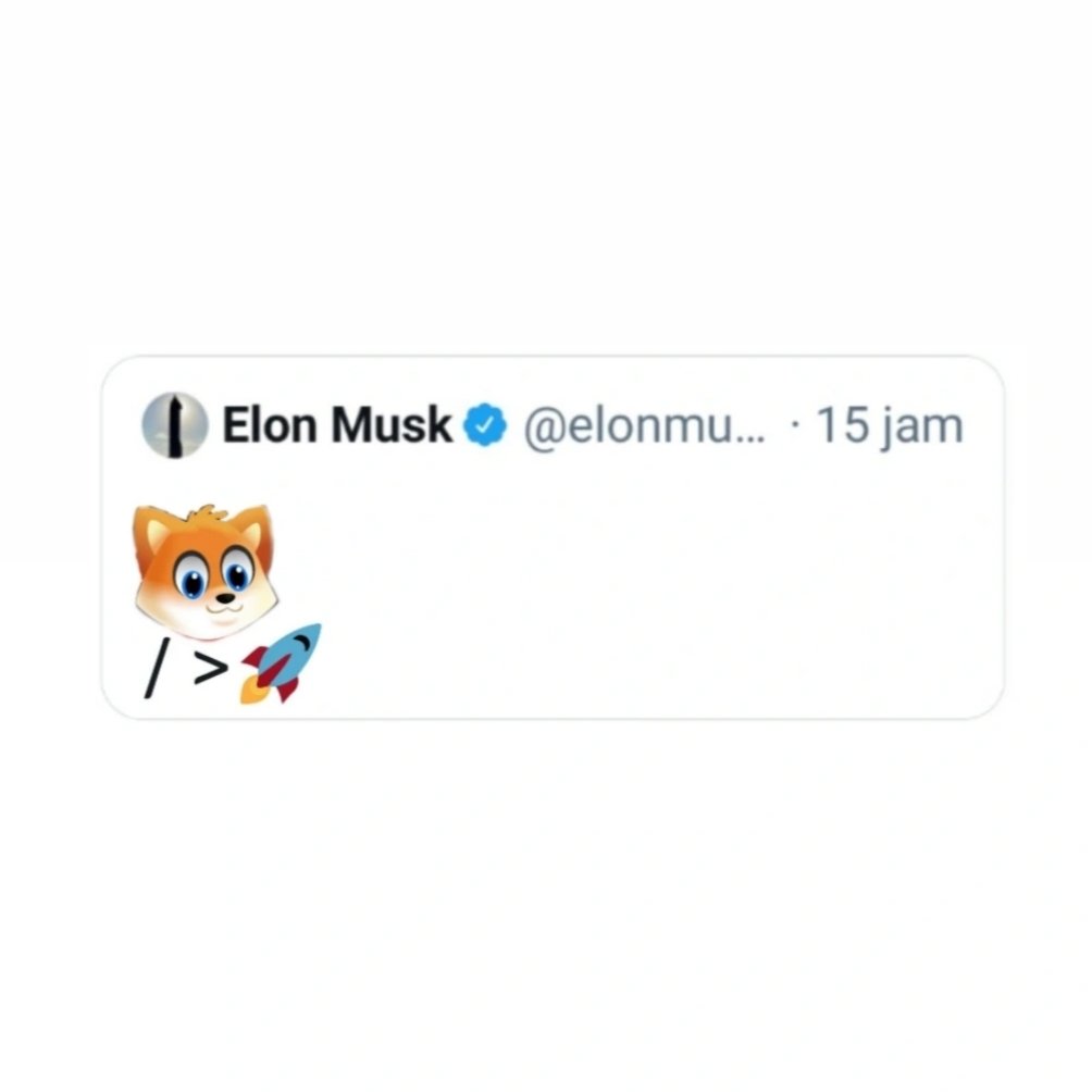 0xpro tweet media