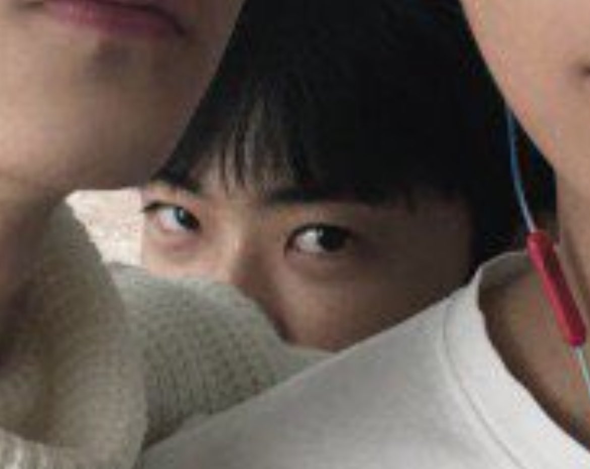 아 ㅆㅂ ㅋㅋㅋㅋㅋㅋㅋㅋㅋㅋㅋ 뭐야 형아 야옹이들 사이에 빼꼼 아기야웅이 어칼거야 ㅠ 캐기여미야
아기재민야옹이 😻 바부야