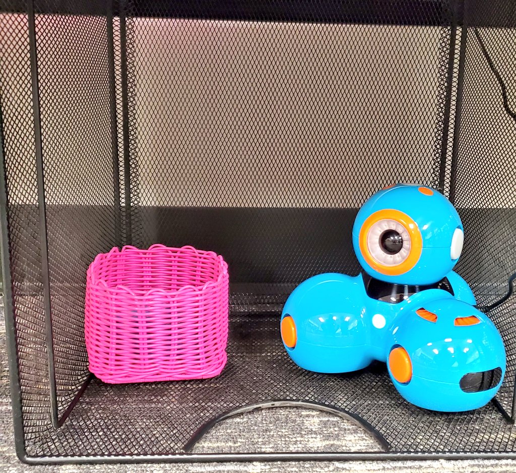 ℕ𝕚𝕤𝕙𝕚𝕥𝕒 ℙ𝕒𝕥𝕖𝕝 tweet media