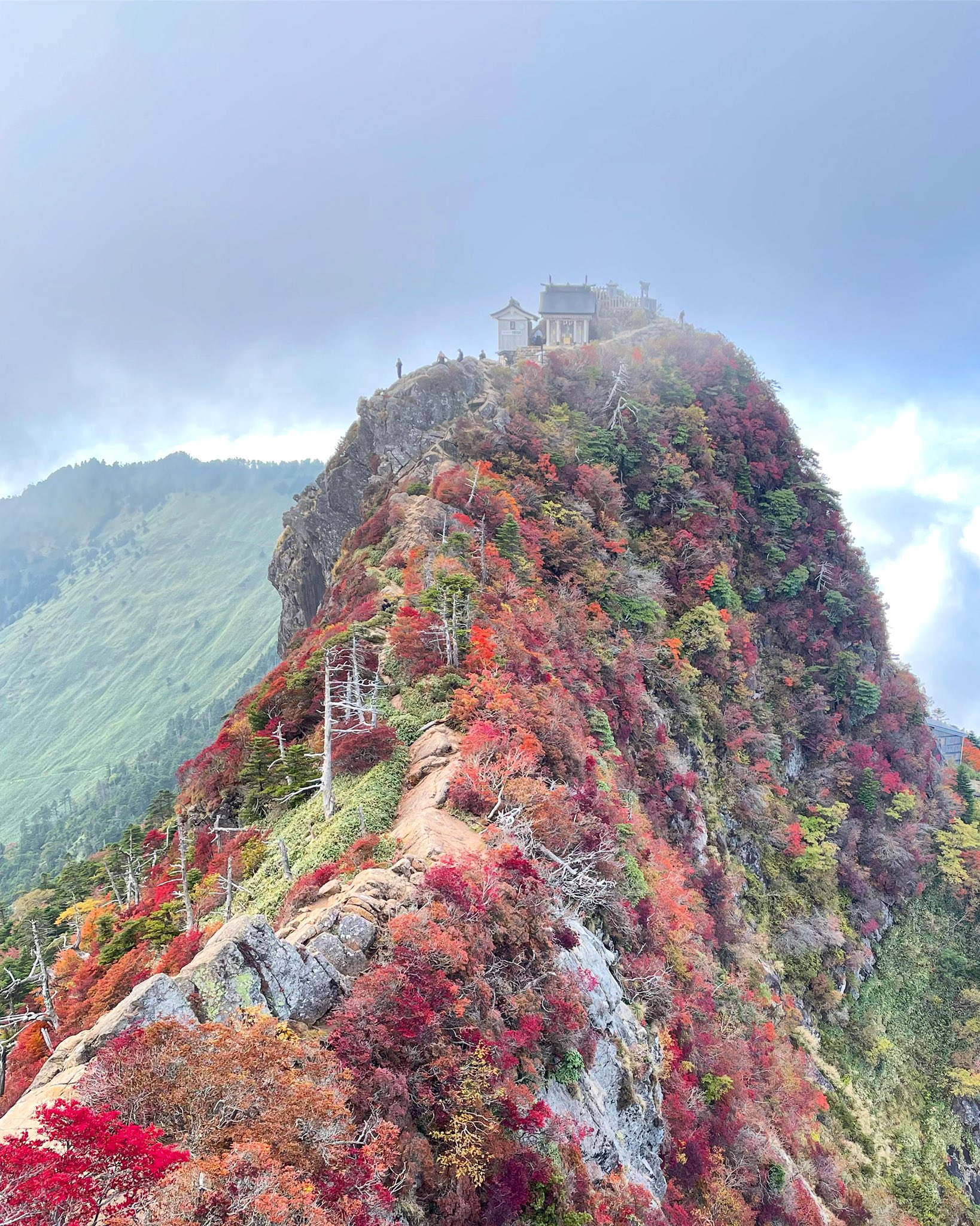 四国の自然案内します 西日本最高峰の石鎚山は紅葉しております 10月7日にこの景色だったので 山頂の紅葉は終わっているかもですね 四国 愛媛 登山 紅葉 石鎚山 久万高原町 愛媛観光 トレッキング T Co 3p7dzsgy0y Twitter