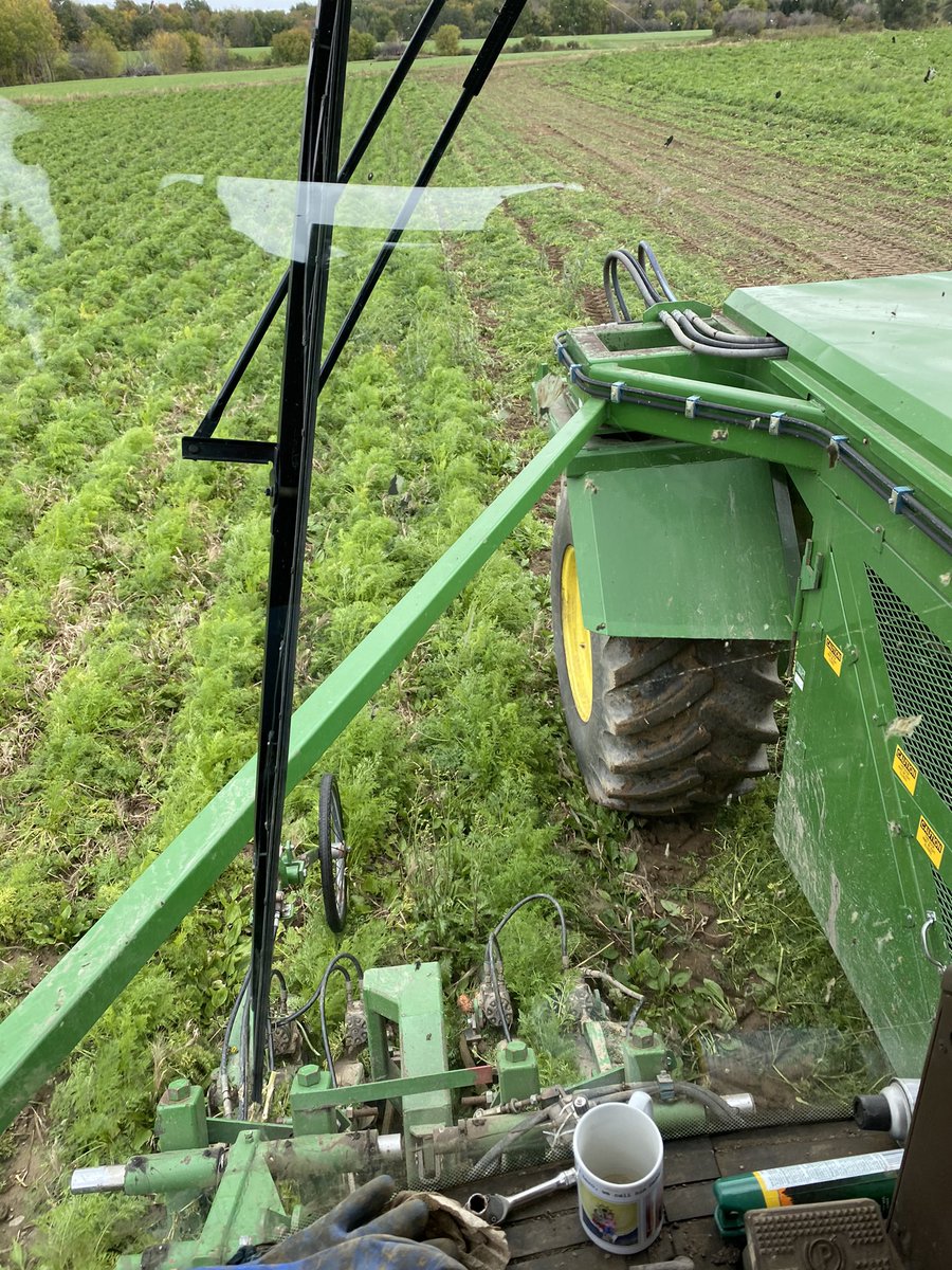 Alexander_Duffy's tweet photo. Carrot harvest, developing programs. #timacharvest @TimacAgroUSA https://t.co/PRIEDt4Dk7