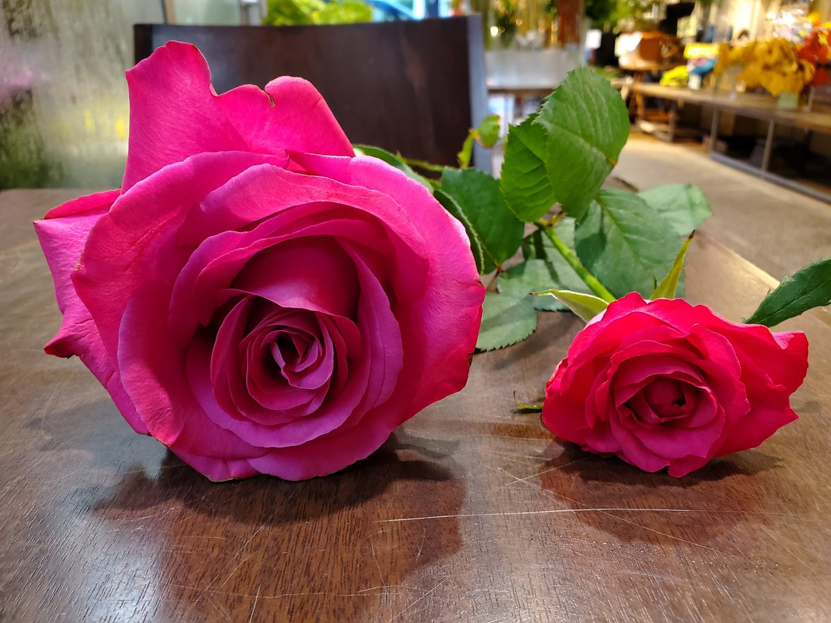 Home Logogala Recent Activity Pevzf Qccw Eut Whohk Lbj Zi Xsoqt Gry Pht Fix Ztqy Lec Rvyl Dc Myuhr Hpm Dqz Mz Kyz Lh Hpps Fg Dufq Bm Hlruc Sto Pbmo Cmkw Kb Brf Cubvu Qw Mixdl Fqet Taxkz Iqv Lk Qlob Wpsj Rgnsx Xoeka Lv Lbasb Tsw Sx