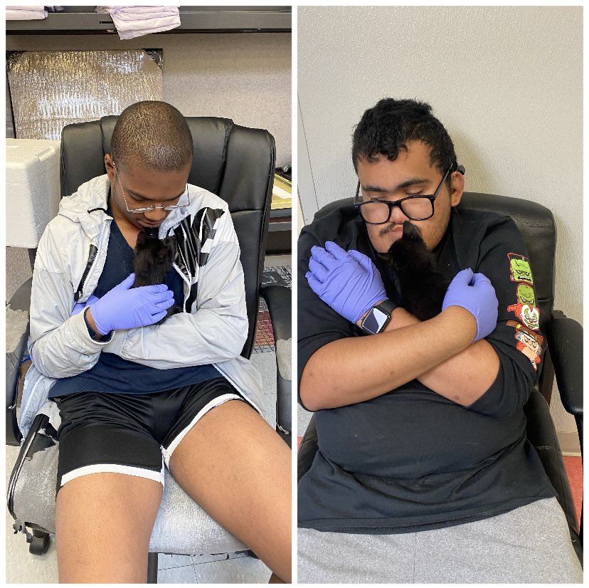 MrsPhaeB's tweet photo. Creating enrichment for the pets🐾 at Barc Animal Shelter can be a tedious job! Our young adults work a 2 hour shift and are exhausted afterward! Ladies and gentlemen, welcome to ADULTHOOD 🥳💪 #jobskills #employable #taskscompleted @HumbleISD @HumbleISD_CAM https://t.co/2wTTFiKTfh