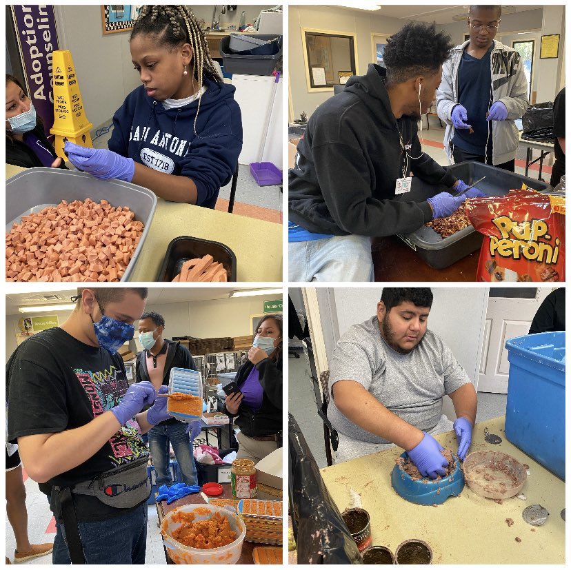 MrsPhaeB's tweet photo. Creating enrichment for the pets🐾 at Barc Animal Shelter can be a tedious job! Our young adults work a 2 hour shift and are exhausted afterward! Ladies and gentlemen, welcome to ADULTHOOD 🥳💪 #jobskills #employable #taskscompleted @HumbleISD @HumbleISD_CAM https://t.co/2wTTFiKTfh