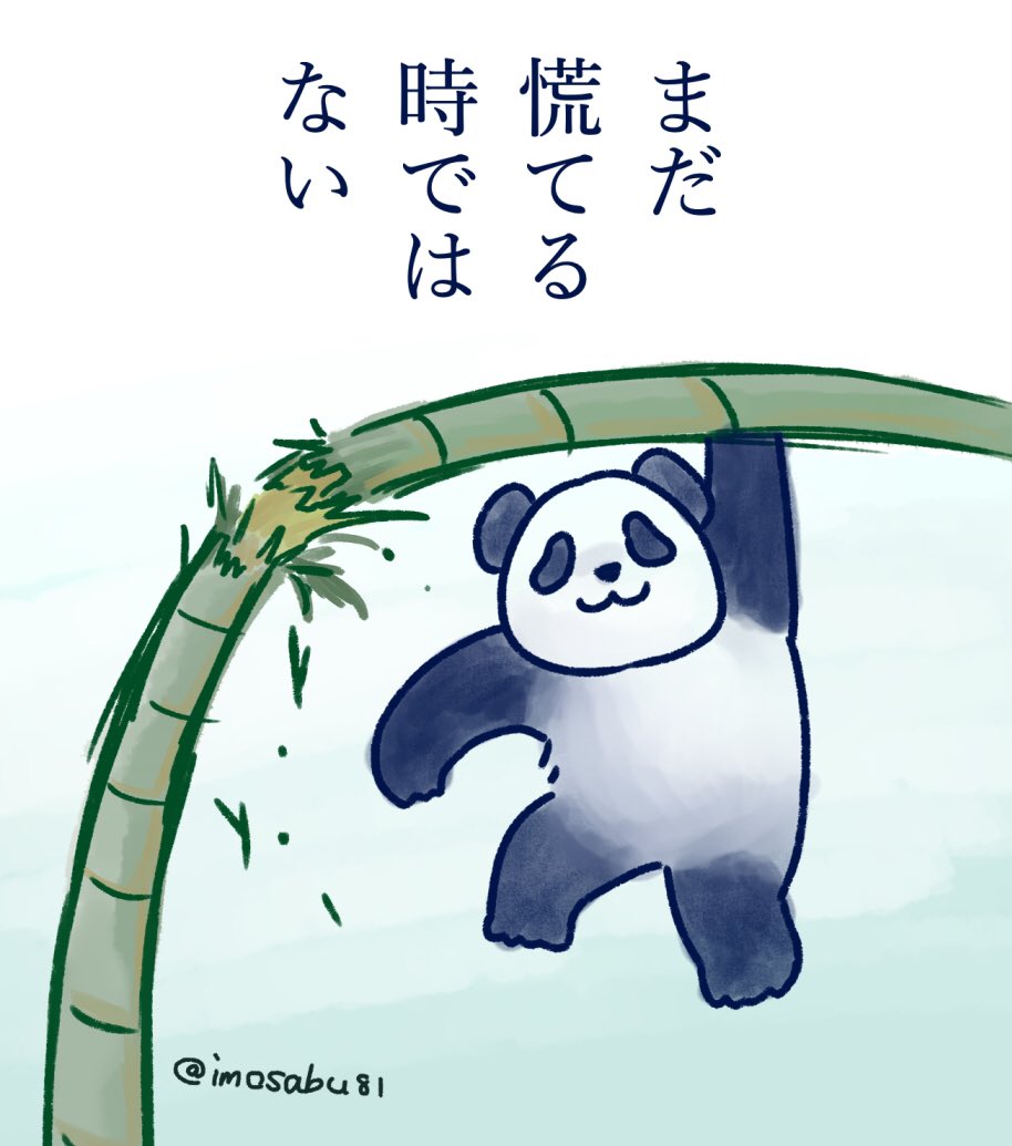まだ笹食べてたいパンダ 