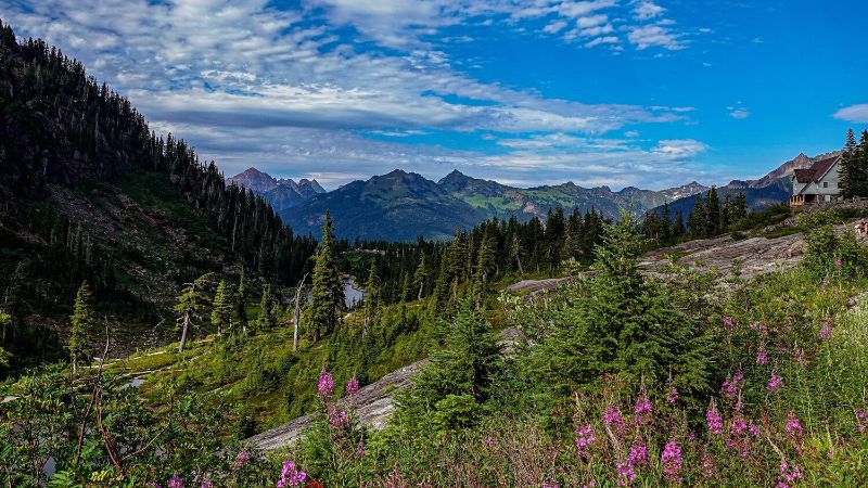 We need your input: Washington State Outdoor Recreation Experience Survey - mailchi.mp/landscouncil/w…