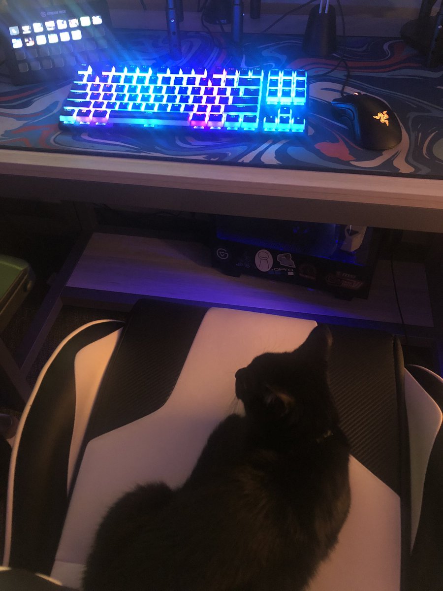 I’ve been replaced