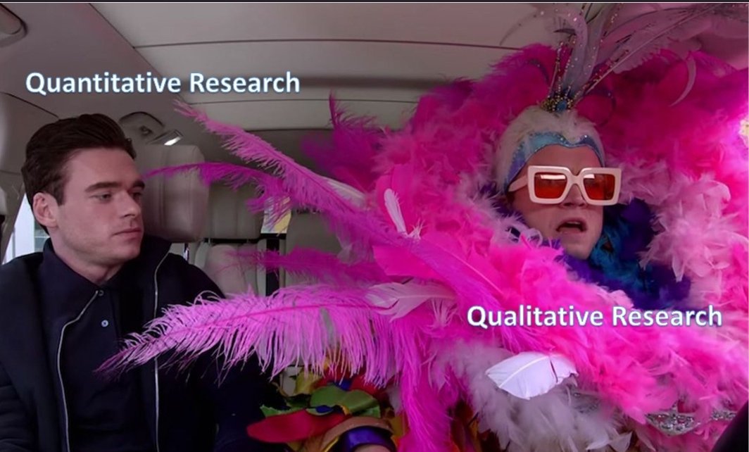 My favourite version of quantitative vs qualitative research meme 😂