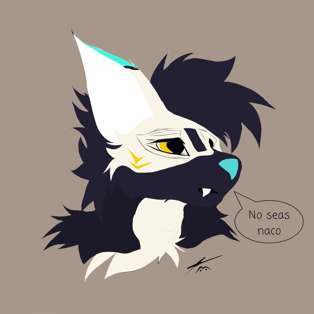 🆆 I N S K Y tweet media