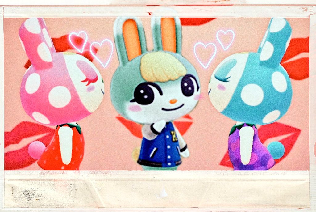 みすず、クリスチーヌ、フランソワ、ゆきみ、ちゃちゃまる、ミッチェル FCBKff9VcAQLr09.jpg?format=jpg