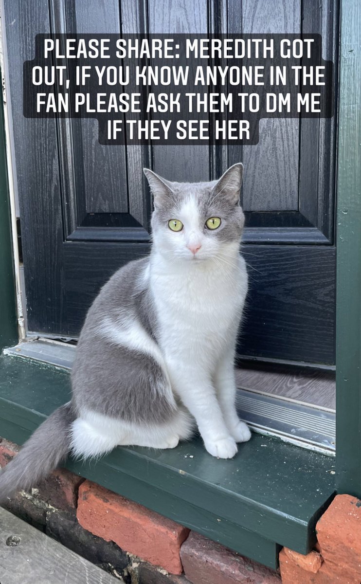 savedged's tweet photo. Please share, $200 cash reward #richmond #thefan https://t.co/PwvVTBwH8d