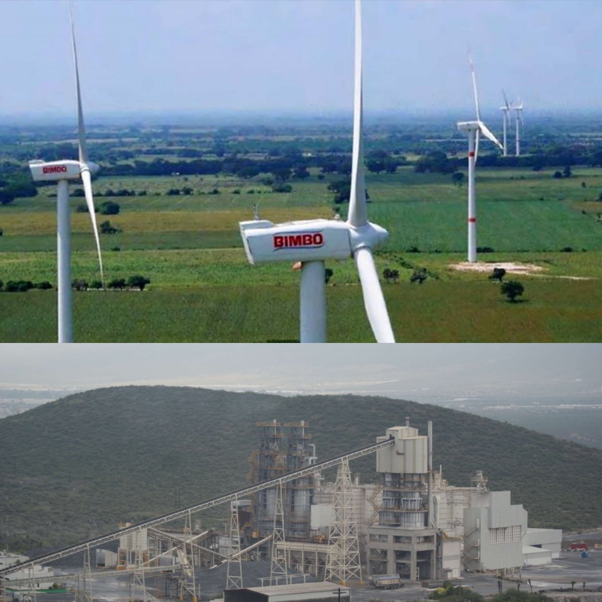 ¿A qué edad te enteraste de que el Parque Eólico de <a href="/Grupo_Bimbo/">Grupo Bimbo</a> abastece de electricidad a Calidra, que produce cal en hornos de carbón y gas natural?