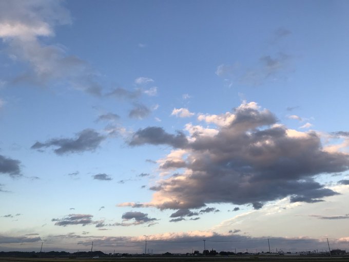 Coilラーメンのtwitterイラスト検索結果