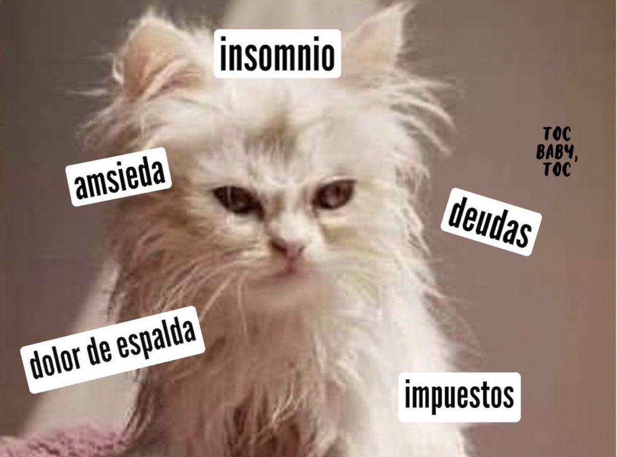 Guarromantico_'s tweet photo. *Los 30’s son la mejor etapa*

Los 30’s también: https://t.co/U6hrBFsYqB