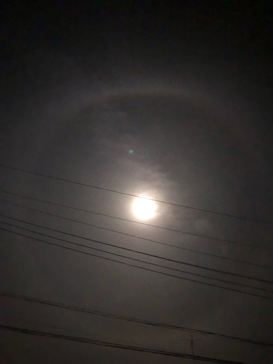 hspfire9's tweet photo. 昨日は十三夜でした。月を見たら、周りに光の輪が。月暈（つきがさ・げつうん）というそうで、翌日の天気は下り坂という事と、吉兆の印だとか。

翌日はその通り雨が降りました☔️ https://t.co/igFXjrlV5S