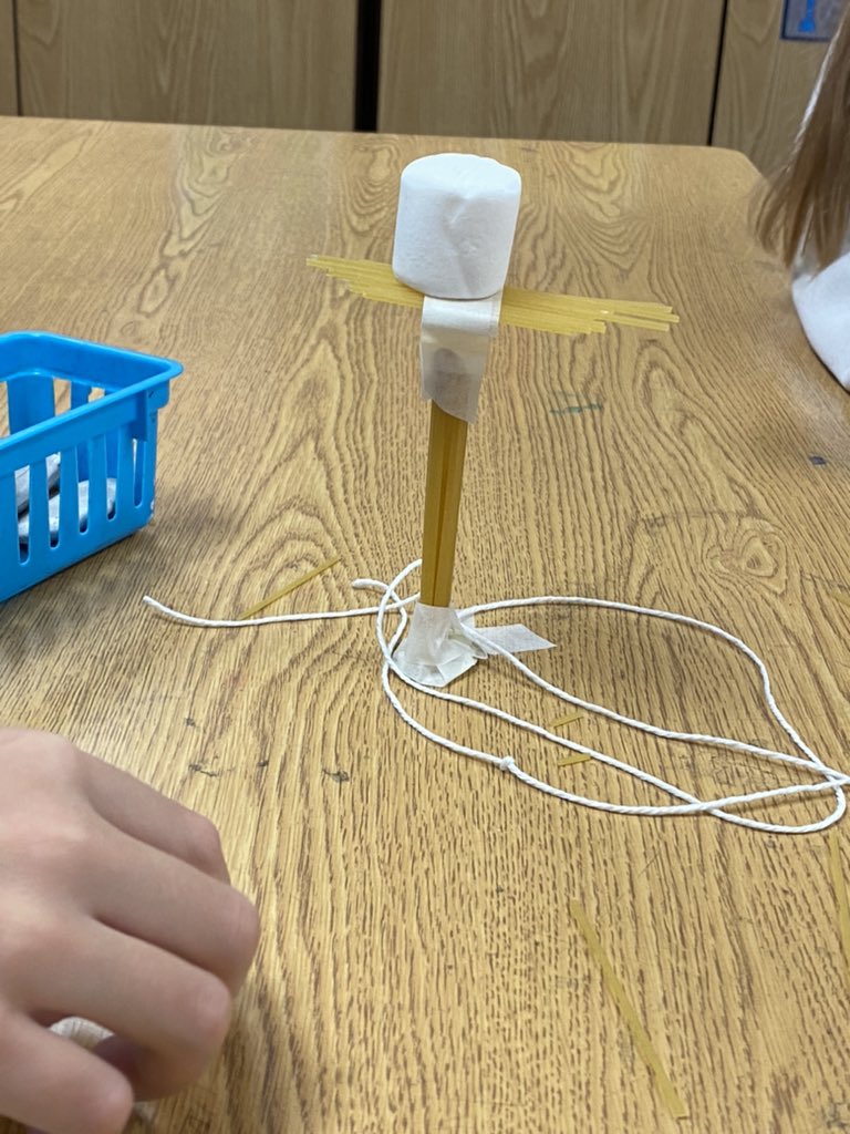 Sandra Trach tweet media