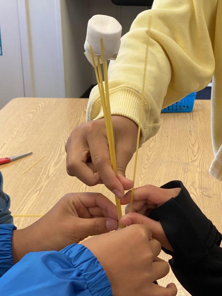 Sandra Trach tweet media