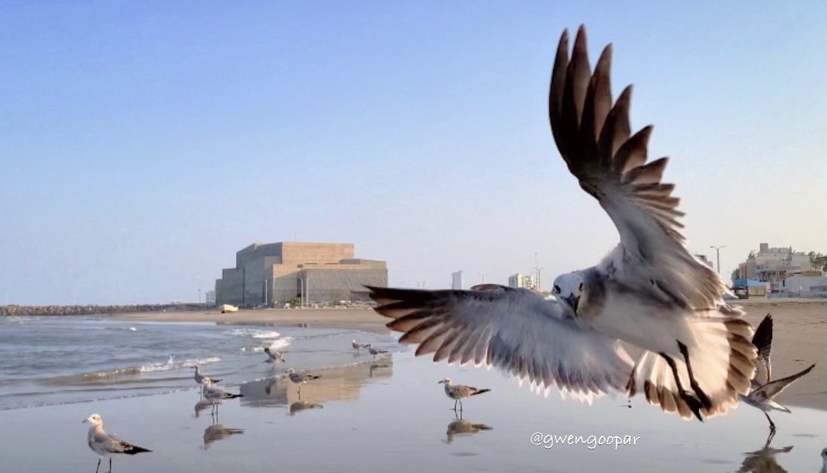 Una selfie en el <a href="/ForoBoca/">Foro Boca</a> 

#Veracruz #BocaDelRio