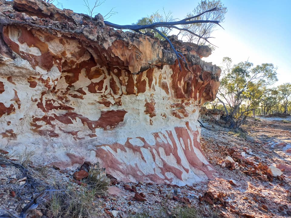 WJWarriors's tweet photo. Day 55

Nganingga gudyalina bimbarra Doongmabulla mundu
(When painting myself with white clay from Doongmabulla)

Ngadyu wunangadi naga Ngaya
(my old people see me)

When I put the ochre on it represents all my old people, the land, animals and everything around us. https://t.co/EcTs9uSyYk