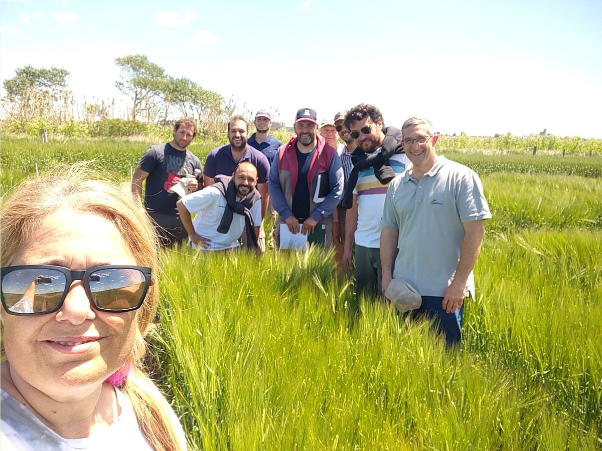 Visita ensayos carbon en Cebada INTA Pergamino #Vibrance #Seedcare #CompincheSX