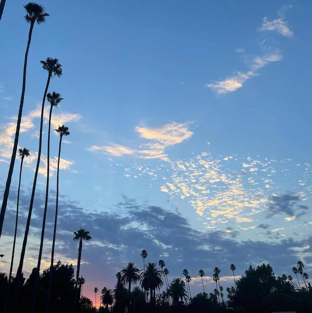Discover Los Angeles tweet media