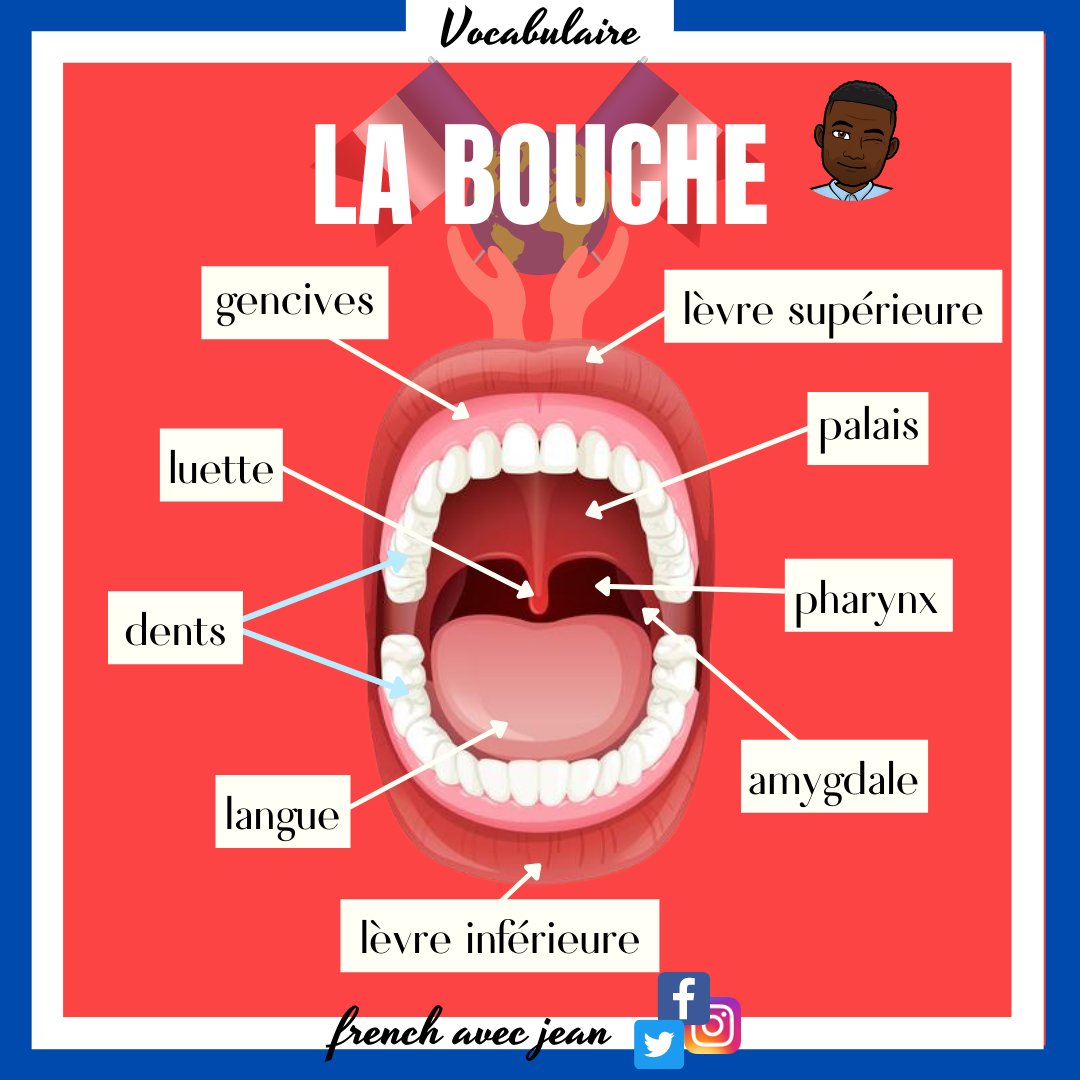 AvecFrench tweet picture