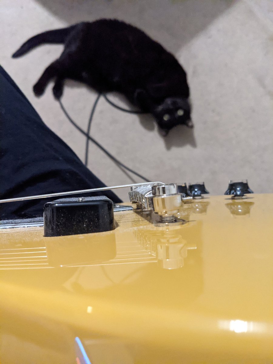 The Tuesday Morning Blues Band tweet media