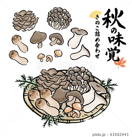 たぶん7月とかに投稿してた秋の味覚セット、きのこが今うれてます!もう秋も終盤だけど…タイミングわからんな～🍄 