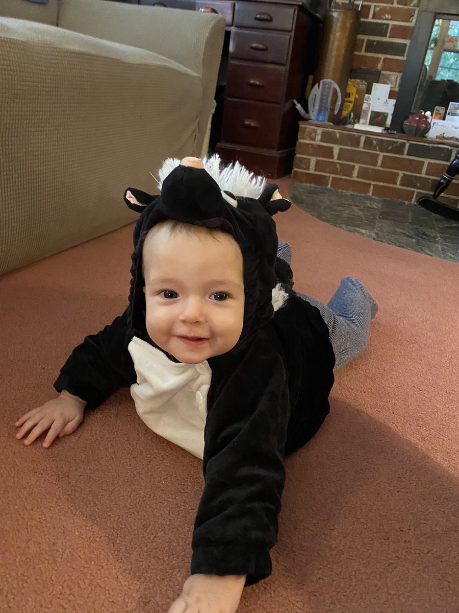 kgb2016's tweet photo. Mommy’s little stinker 🦨 https://t.co/jDRuk2M2pi