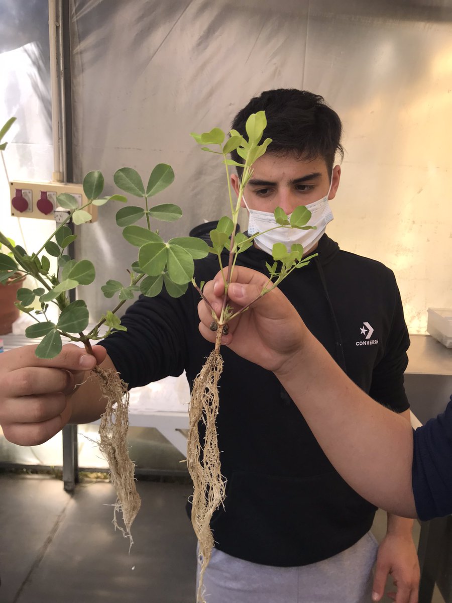 patucomendez's tweet photo. Visita a la planta @NZbioinno con los finalistas del Concurso #FLBPA Futuros Líderes BPA
@TwitCASAFE https://t.co/DLjmc2RIP0
