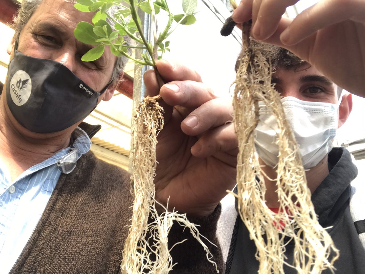 patucomendez's tweet photo. Visita a la planta @NZbioinno con los finalistas del Concurso #FLBPA Futuros Líderes BPA
@TwitCASAFE https://t.co/DLjmc2RIP0