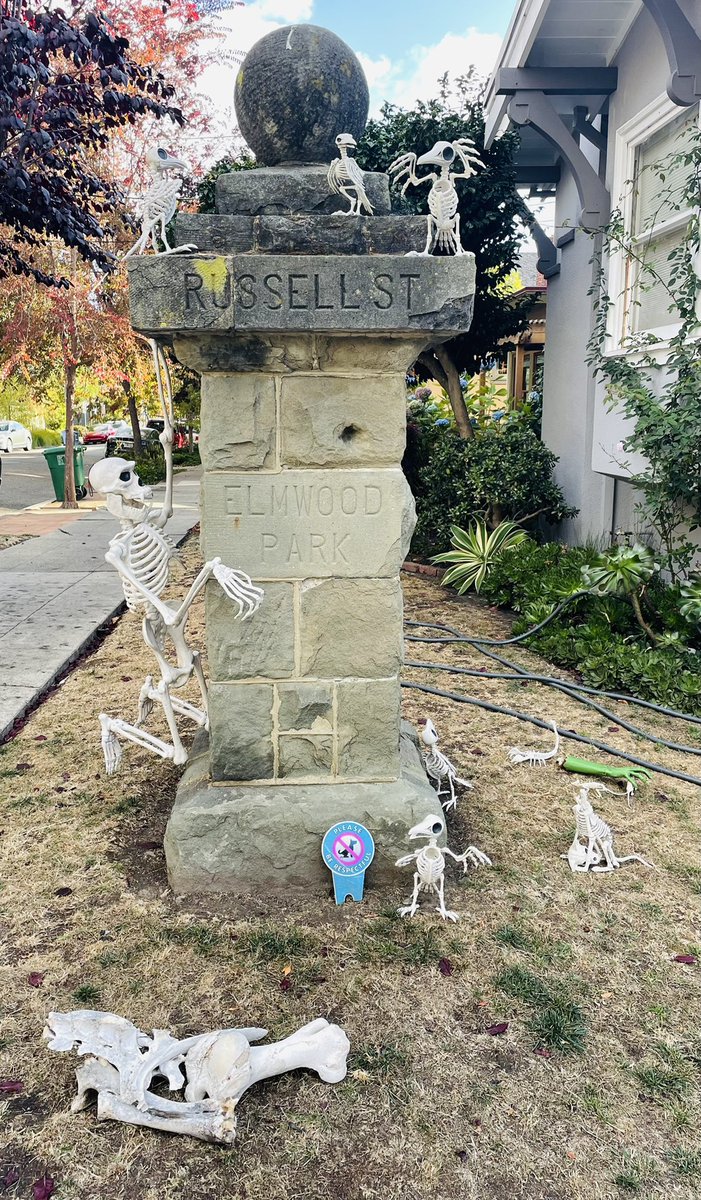 coreydu's tweet photo. So it appears that #RussellStreet in Berkeley is set to go off again this Spooky Szn. East Bay #Halloween HQ. IYKYK ๐๐ป๐๐งโโ๏ธ๐ท https://t.co/Sson87mh22