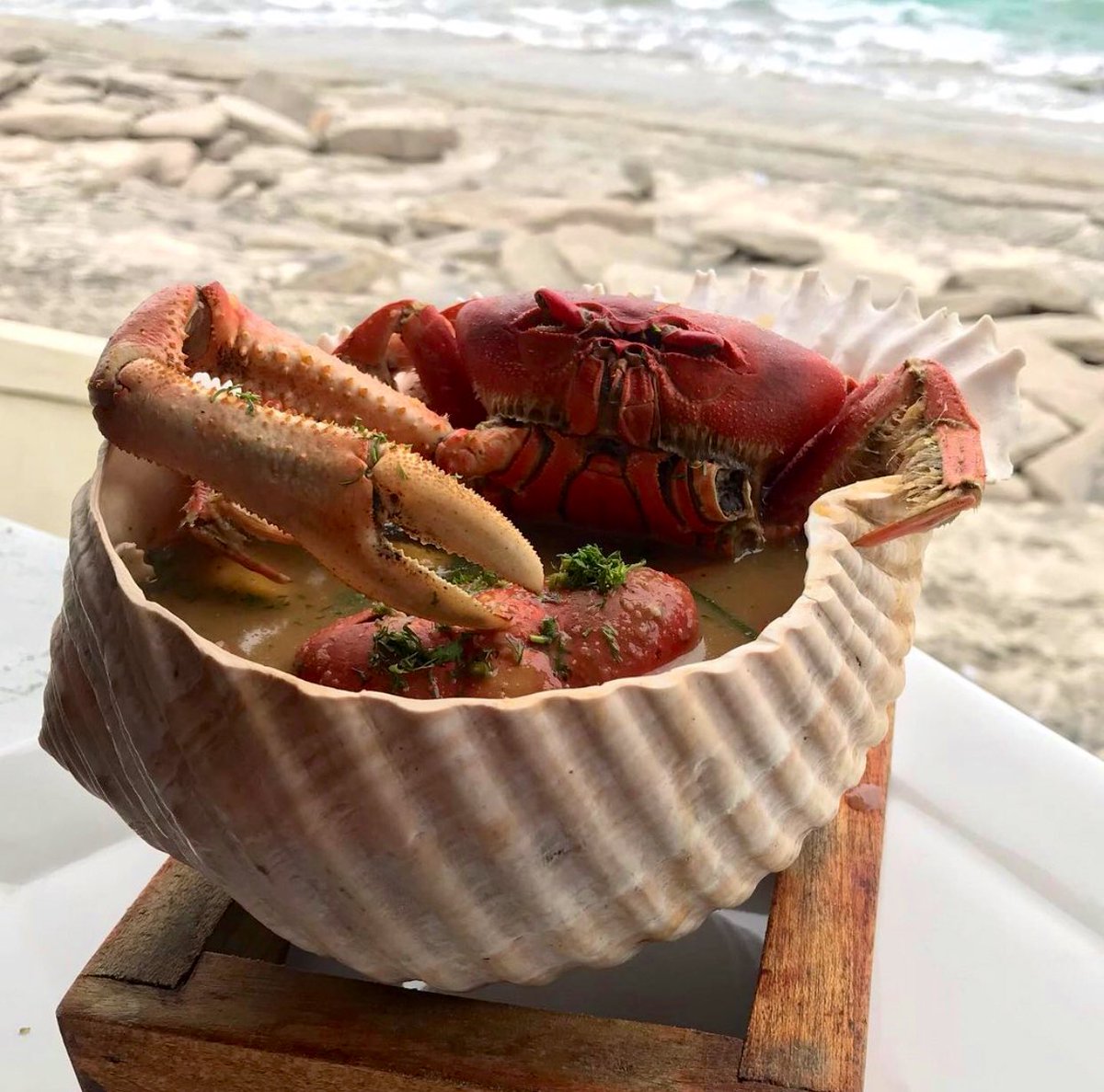 ivonnelago's tweet photo. Me había olvidado de compartirles esta deliciosa sopa de cangrejos que probé, ayer, en un local de #Capaes 🦀 Incluso la presentación era bastante atractiva🐚
No he probado algo igual en Guayaquil 🤤 https://t.co/3D6b3LR1M9