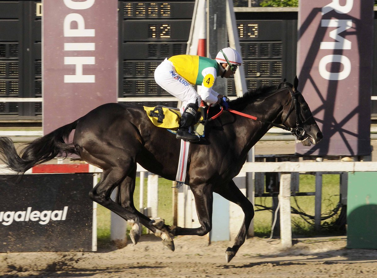 cpulgar28's tweet photo. Esta tarde en el Hipódromo de Palermo se disputó el Clasico Carlos Gardel (L), para todo caballo de 4 años y más edad, en el que se impuso CHE CAPANGA, con la conducción de William Pereyra, el pupilo de Juan Saldivia pertenece a la caballeriza Chemeco de Rio Cuarto
#DeTurfUnPoco https://t.co/A2bHwekzJc