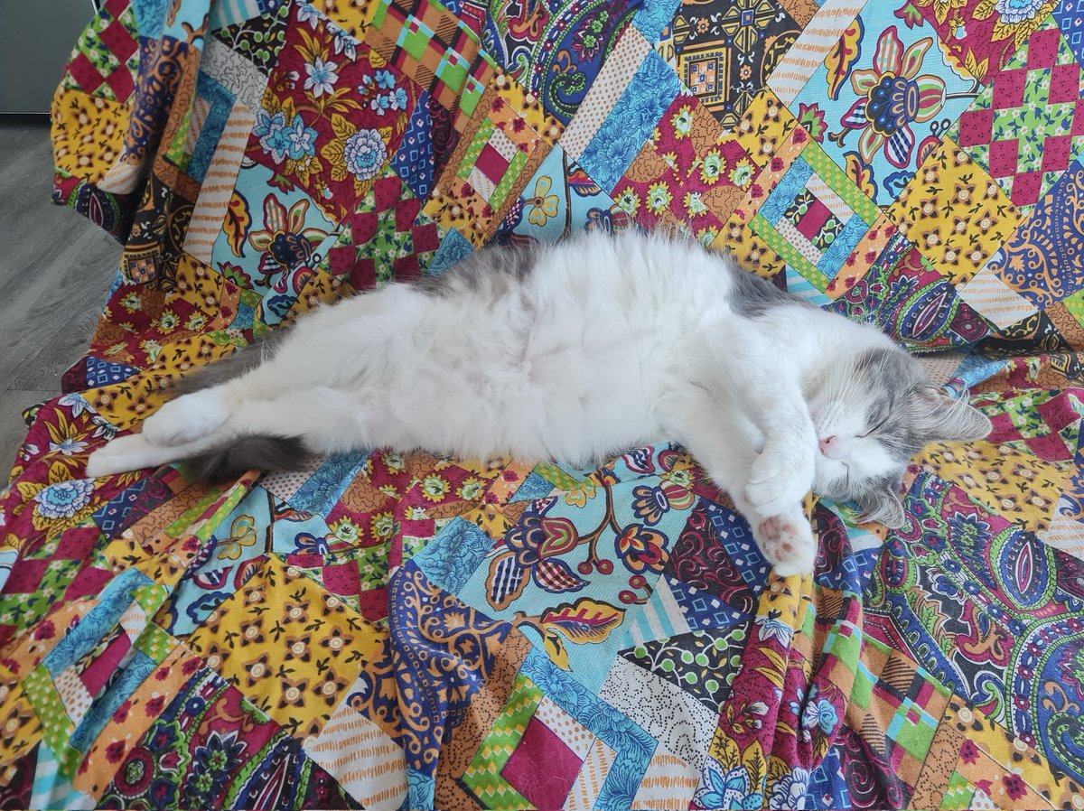 Lazy Tuesday Morning