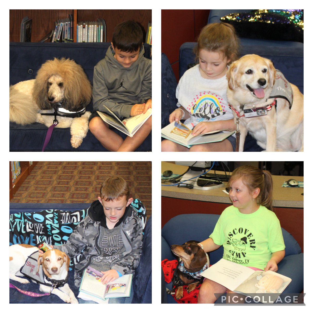 GilmerISDProud's tweet photo. A special thank you the Silver Paws teams who read with our students today. These readers met their summer reading goals and got to read to Angus, Lilly, Lily, & Henry. #Read2Me https://t.co/NkdKiKEcF3