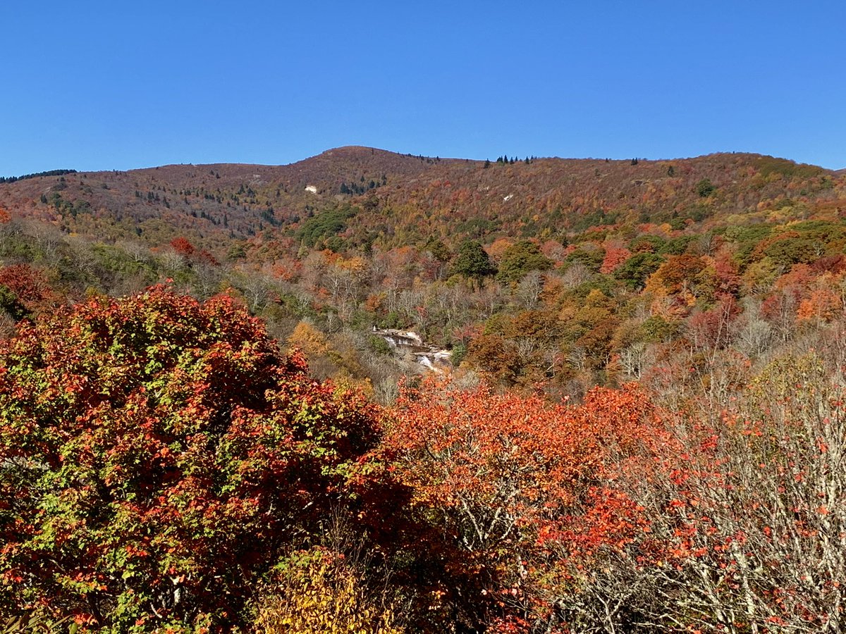 RivasFX_rivas's tweet photo. A few shots of the fall colors from this past weekend in the Appalachians! Graveyard Fields, Grandfather Mountain, and the Southern Virginia Highlands had the most vibrant color by far. Absolutely stunning! #fall #mountains #waterfalls #ncwx #vawx https://t.co/qPEaVxGDHl