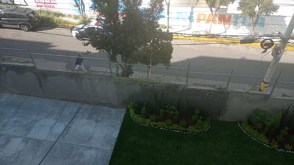 FranyPt's tweet photo. @Gob_Tlalne Apoyo para rama de árbol que está casi apunto de caerse y se puede llevar la malla ciclónica. Av de los parajes atrás de la aceitera Maravilla. Urge limpieza en toda esa calle. https://t.co/rKv31jbQiO