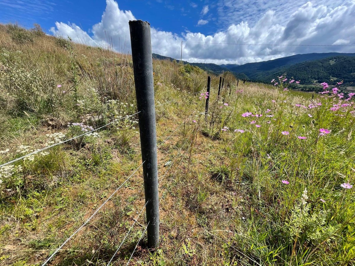 TsheringPenjo10's tweet photo. #ecopole made out of #plasticwaste is replacing wooden pole for #electricfencing #innoviative #mitigation in #adaptation. https://t.co/izJfvmszPK