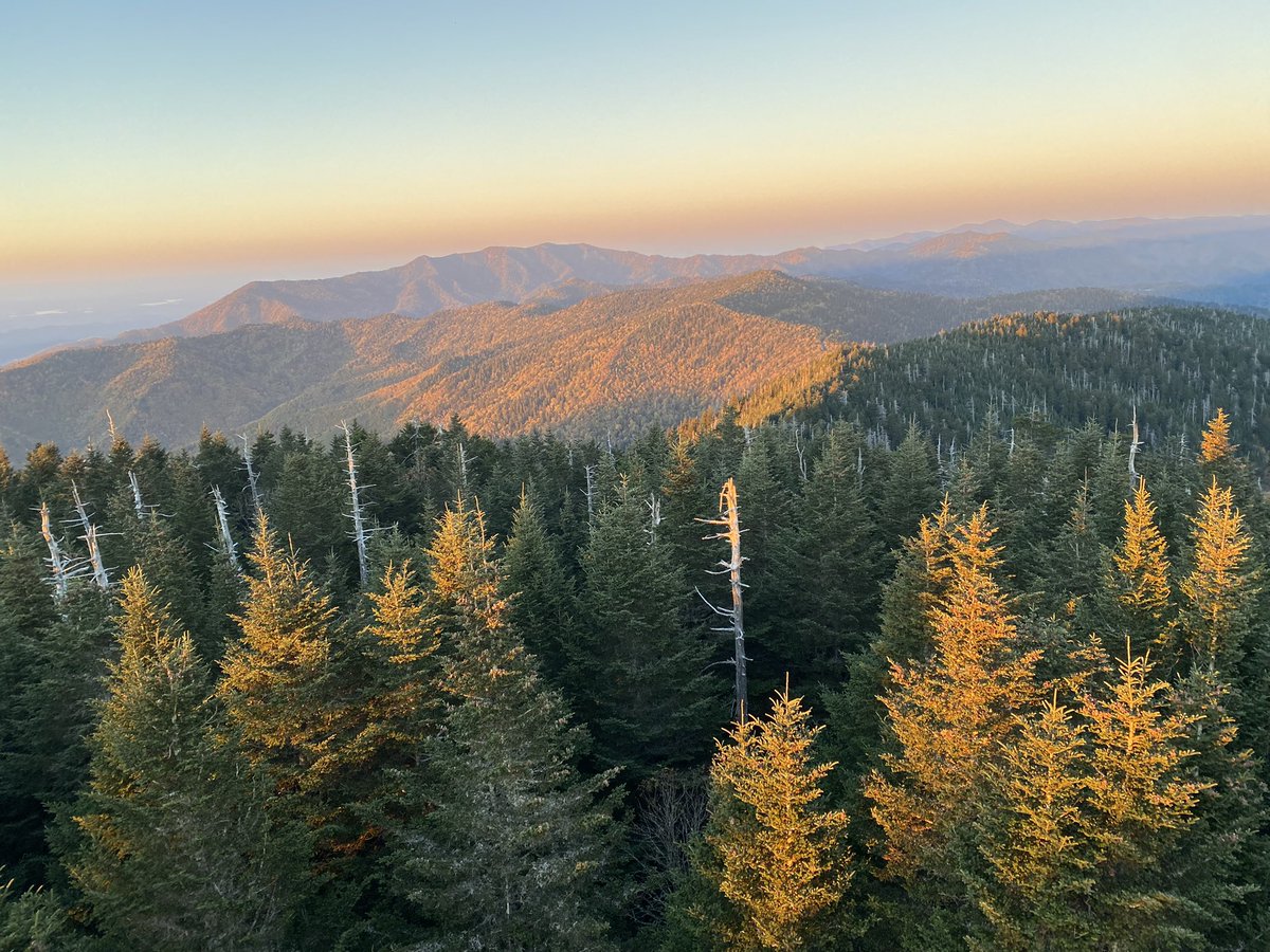 Jake Wright tweet media