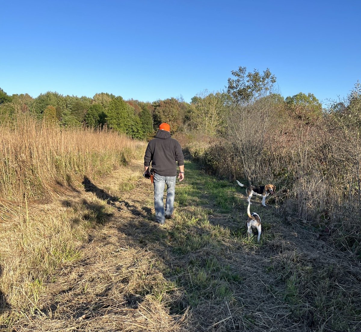 HideSteel's tweet photo. Took this evening off and spent it with the princesses. They're such good babies. They love this! And, so do we!
#dogsoftwitter #dogs #beagles #beagle #beaglepups #outdoorfun https://t.co/uuvsPBucUk