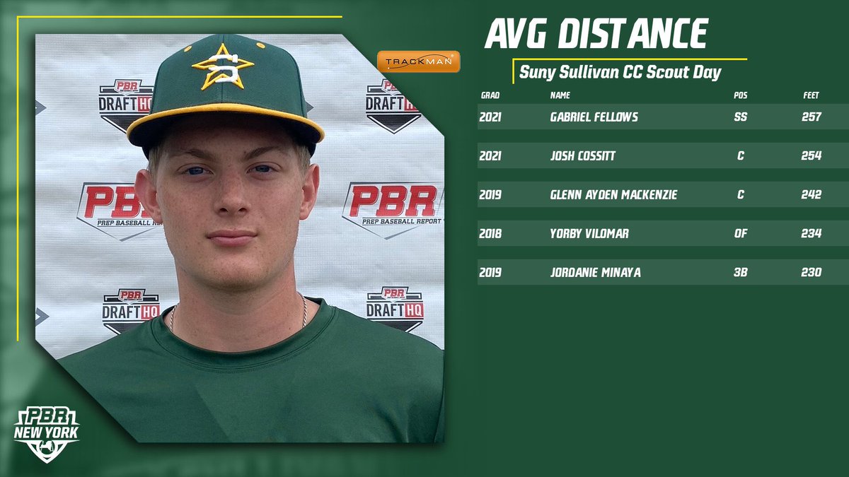 Prep Baseball New York tweet media