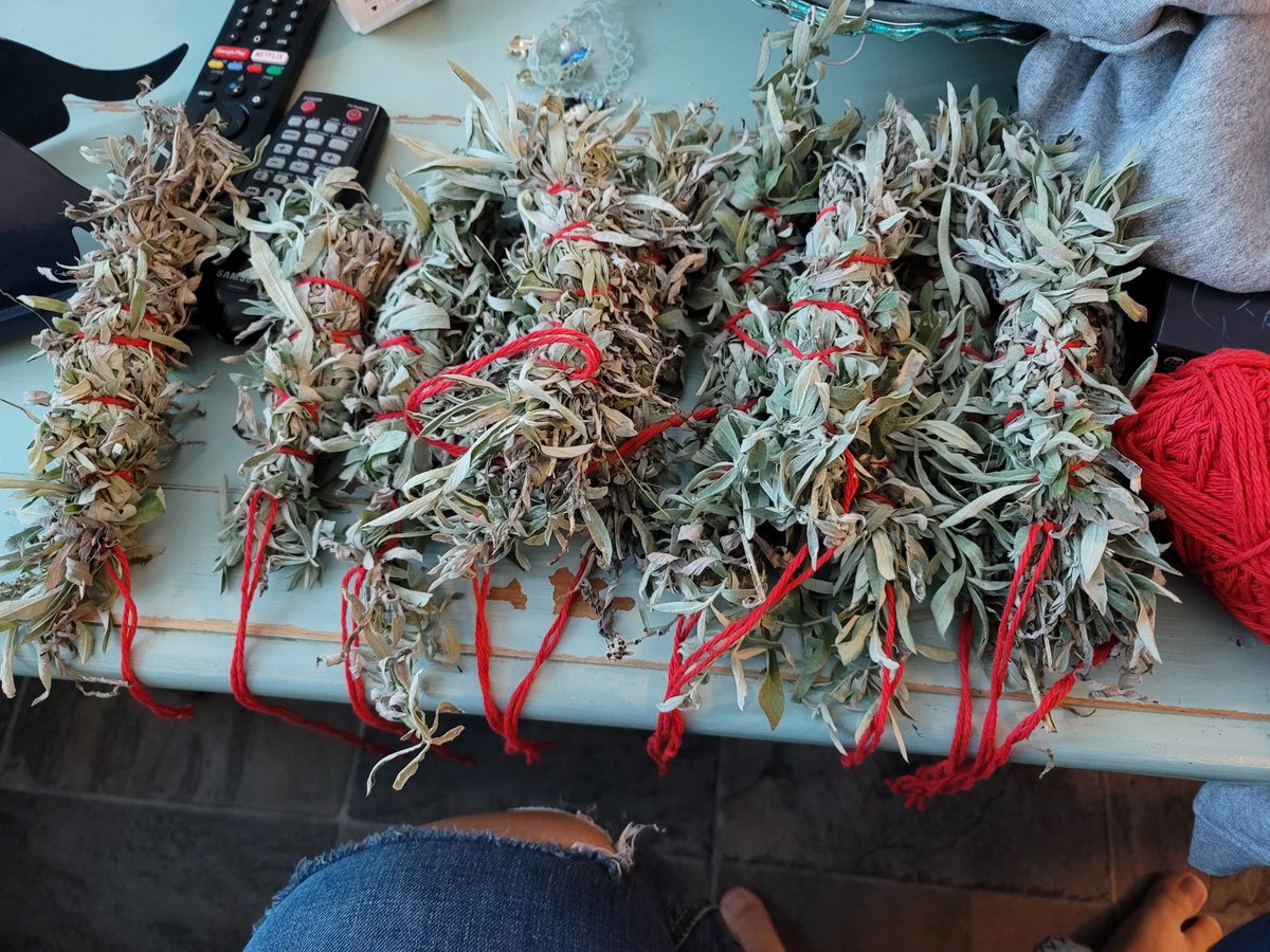 MshallDaniels's tweet photo. Harvested sage this past weekend. Hoping it's enough to get us through the snowy months!! https://t.co/ZnYXowlgAY