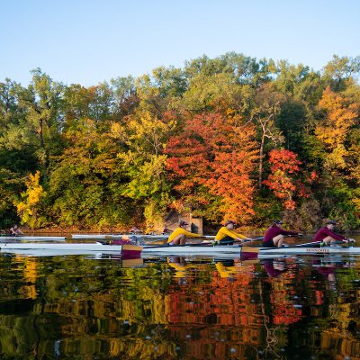 Minnesota Gophers's Photo