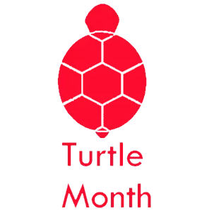 It's almost #TurtleMonth. What have you got planned?