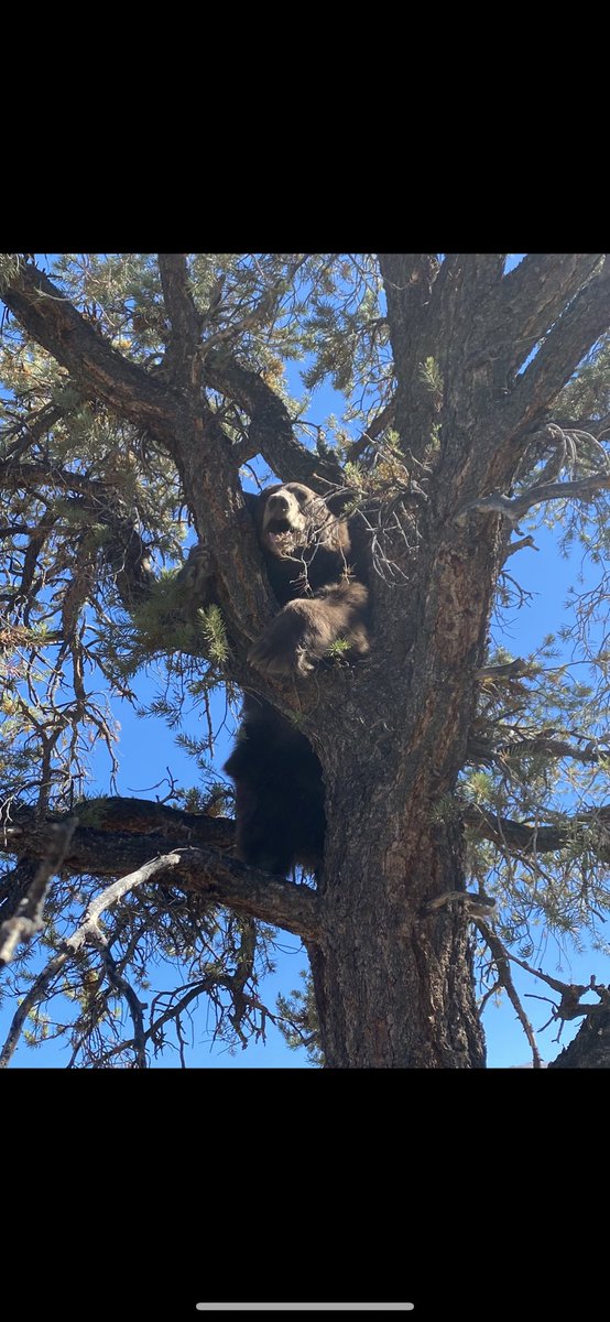 He can give you a teddy bear but I can give you a real one baby girl 😉