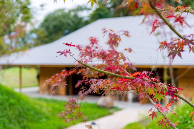 bio_matsuki's tweet photo. Restaurant μ の周りでも紅葉🍁がいい感じになってきました
@artbiotop
#artbiotop #restaurantμ #localgastronomy #francerestaurantweek #autumnvibes🍁 #sonya7 #fe55mmf18za #sonnar55mm https://t.co/cgh2gNDYwx