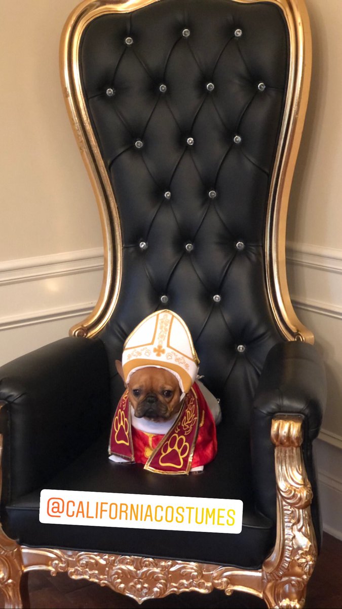 FarmBully's tweet photo. Day 18 of 31 Days of Halloween ⛪️
@californiacostumes 
“His Holiness Says Feed Me.  Now Let Us Play”
#31DaysOfHalloween #Day18 #Mahogany #CaliforniaCostumes #HolyHound 
#MahoganyTheFrenchie #MemoirsOfMahogany #FunFrenchie #LovingLife #BossDog #RockStar #QueenMahogany https://t.co/9KlQ1GCwZa